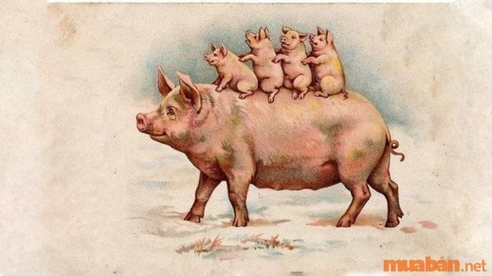 Tử vi tuổi Quý Hợi năm 2024 nữ mạng chi tiết