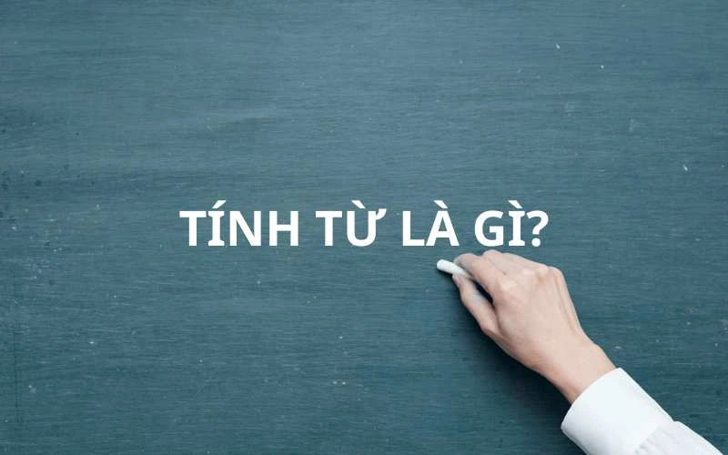 Khám Phá Tính Từ Trong Ngữ Pháp Tiếng Việt