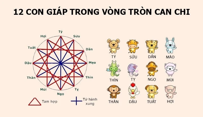 Tứ Hành Xung Tuổi Tuất: Tìm Hiểu Về Các Mối Quan Hệ