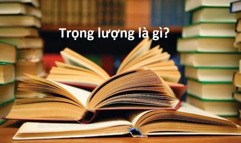 Tìm hiểu về trọng lượng và tác động của nó