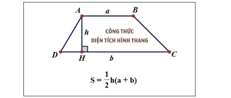 Hướng Dẫn Tính Diện Tích Hình Thang Vuông Hiệu Quả