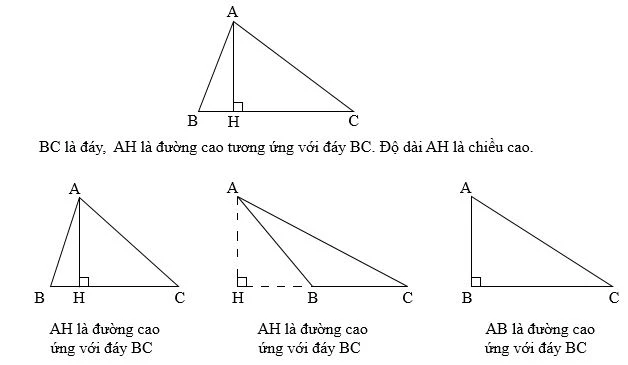 Công thức tính diện tích tam giác thường, vuông, cân, vuông cân, đều