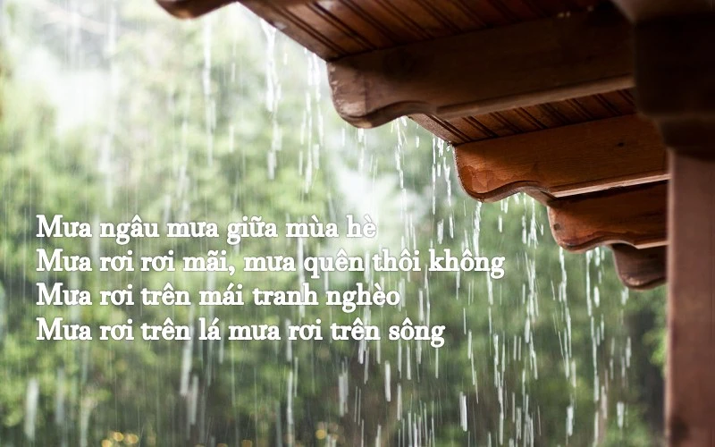 Thơ về mưa hai câu mang lại cảm xúc dịu dàng