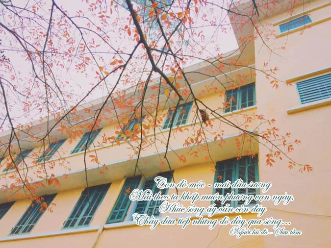 Thơ lục bát ngợi ca thầy cô trong trái tim học trò