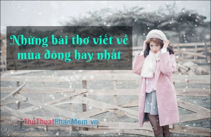 Khám Phá Những Bài Thơ Về Mùa Đông Đầy Cảm Xúc