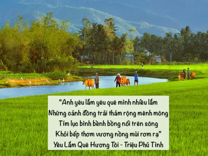 Khám Phá Những Bài Thơ Về Quê Hương Đầy Cảm Xúc