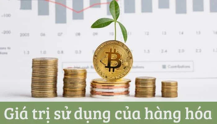 Giá trị sử dụng là gì và tầm quan trọng của nó