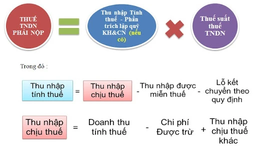 Hiểu rõ thu nhập chịu thuế và thu nhập tính thuế