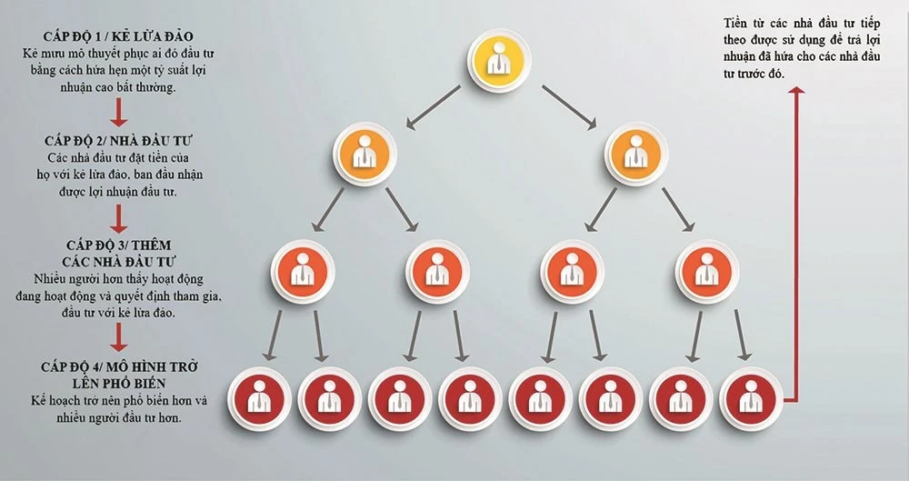 Ponzi là gì và những rủi ro trong đầu tư hiện đại