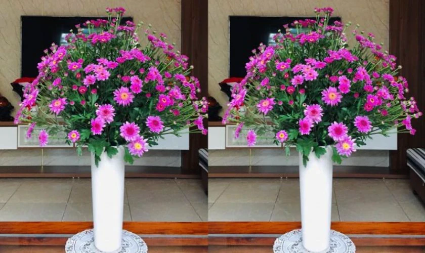 Cách cắm hoa cúc nhỏ đẹp cho không gian sống thêm tươi sáng