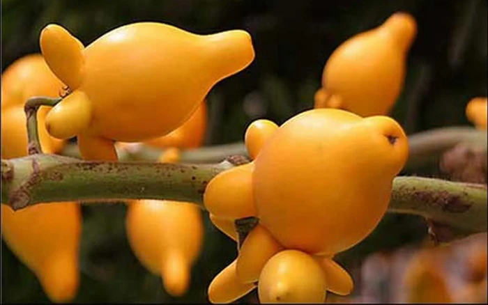 Hiện tượng thừa thãi trong cuộc sống hàng ngày