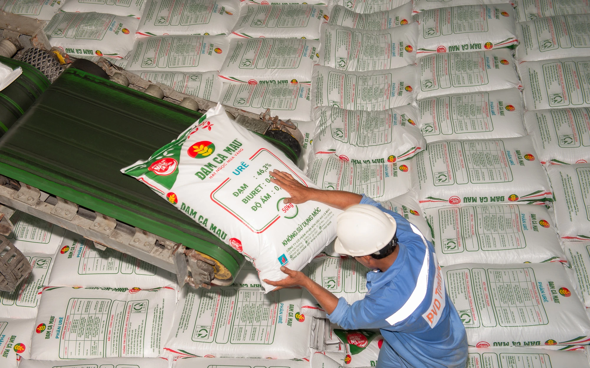 DCM cổ phiếu và tiềm năng ngành phân bón hiện đại