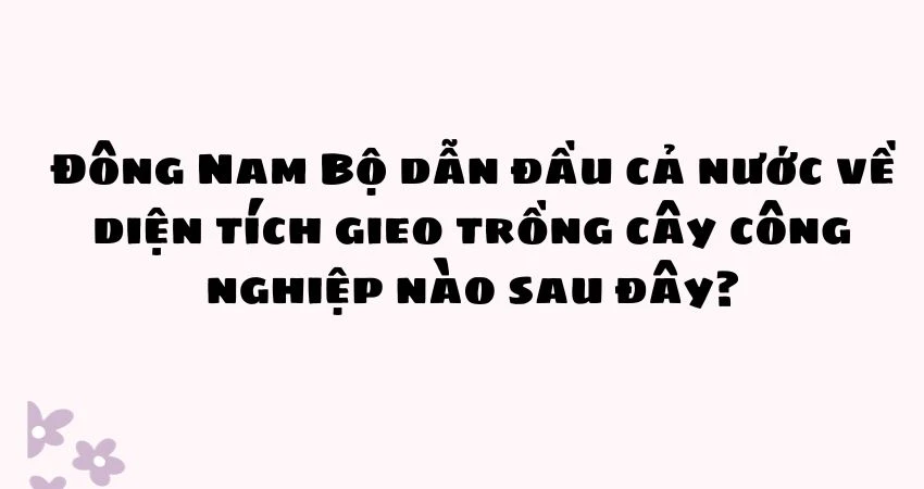 Đông Nam Bộ dẫn đầu cả nước về diện tích cây công nghiệp