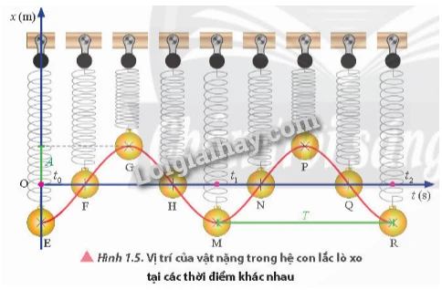 Khám Phá Chu Kỳ Dao Động Trong Vật Lý