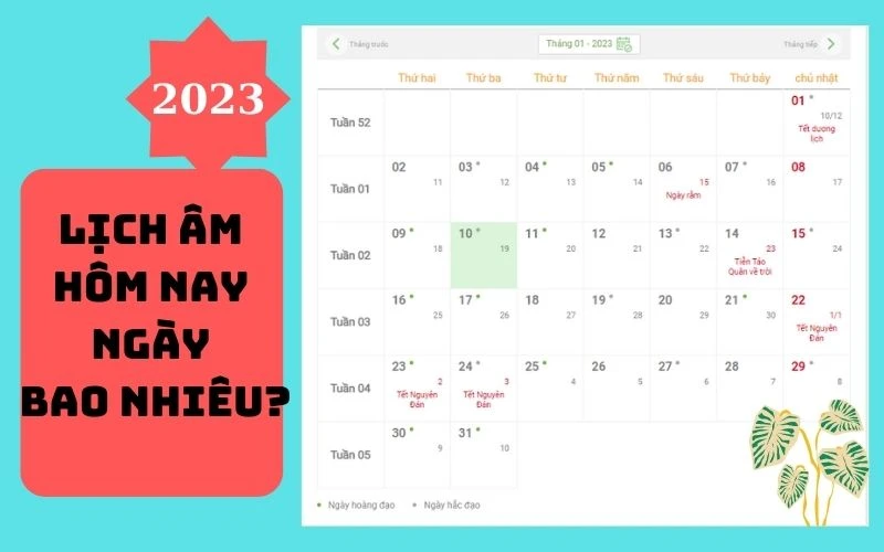 Khám Phá Âm Lịch và Ý Nghĩa Trong Đời Sống Hàng Ngày