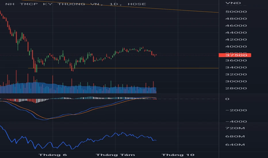 Giá cổ phiếu Techcombank hôm nay và triển vọng tương lai