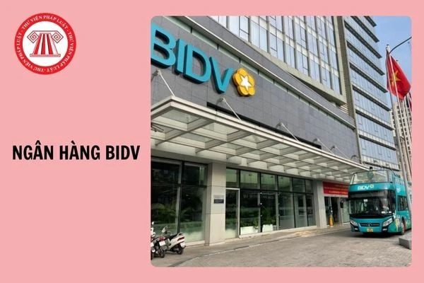 Ngân hàng BIDV: Nhà nước hay tư nhân trong hệ thống TMCP?