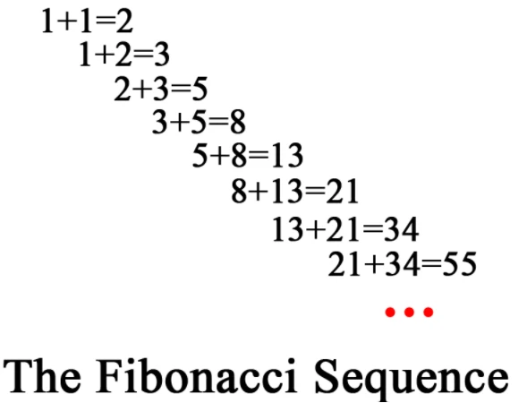 Khám Phá Dãy Số Fibonacci và Ứng Dụng Thực Tiễn
