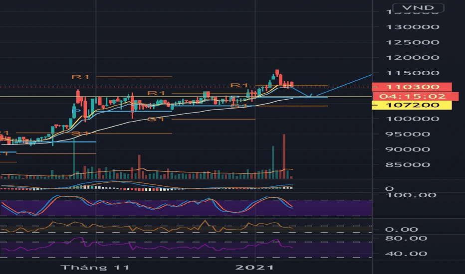 Vingroup và sự phát triển mạnh mẽ của mã vic tại Việt Nam