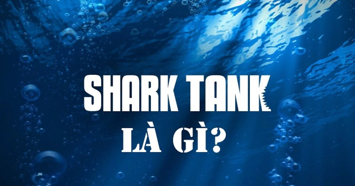 Shark là gì và ý nghĩa của chúng trong đại dương