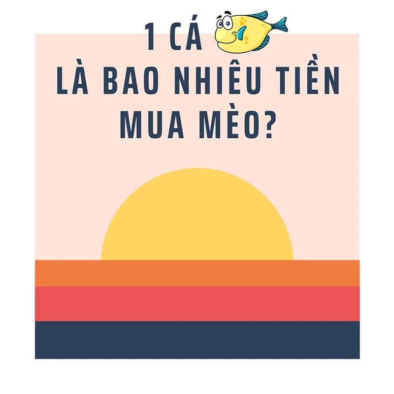 Ý nghĩa của từ cá và giá trị tương ứng bao nhiêu tiền