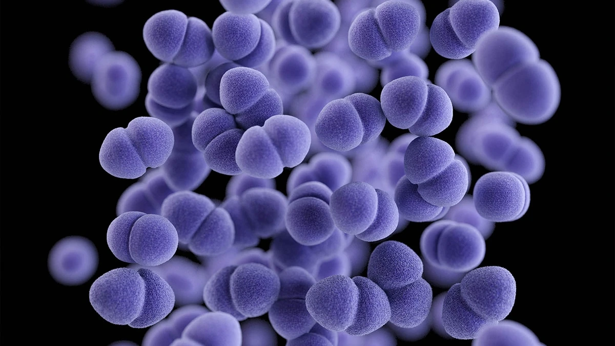 VRE và Thách Thức trong Điều Trị Bệnh Nhiễm Khuẩn