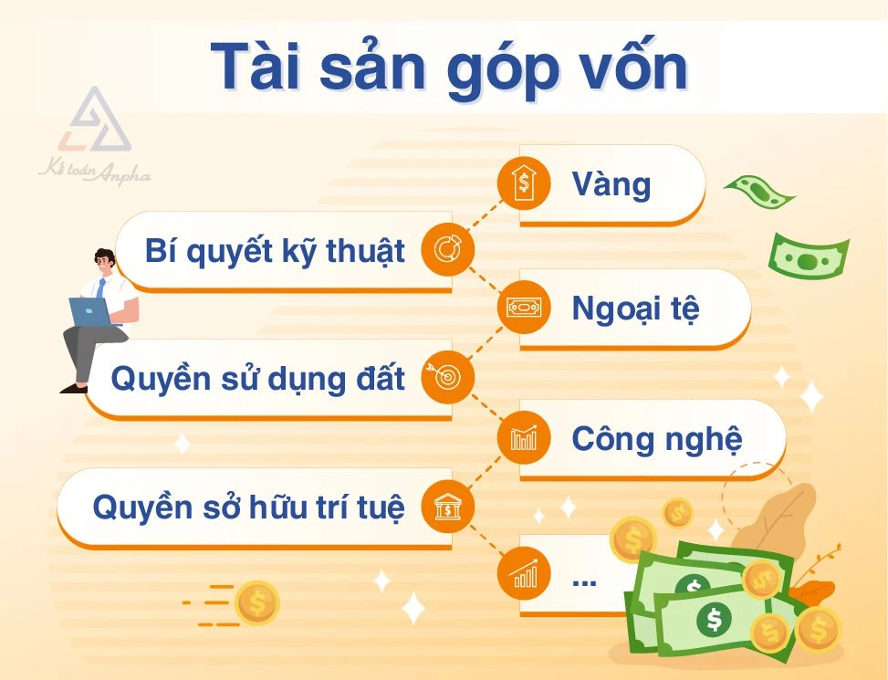 Vốn điều lệ là gì và vai trò trong doanh nghiệp