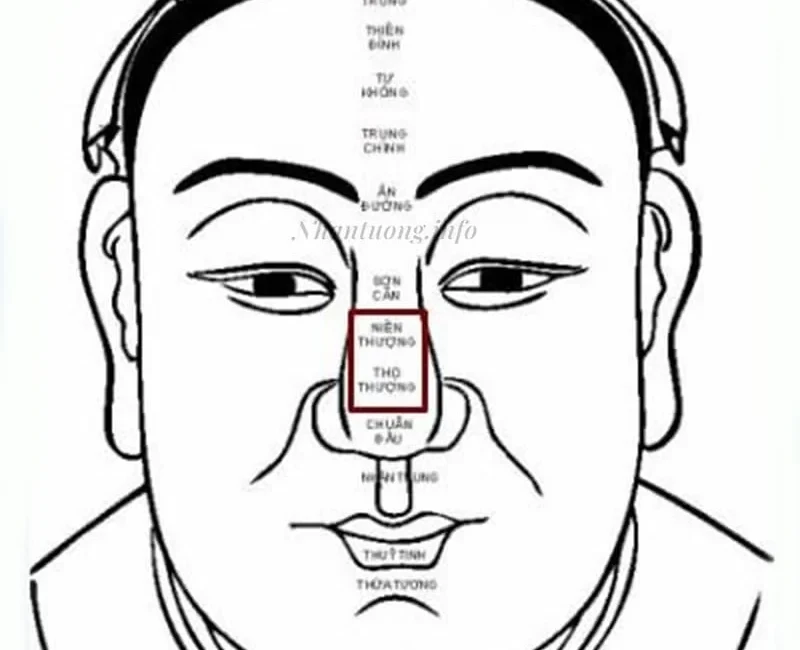 Niên thượng trong đam mỹ và vai trò của tuổi tác