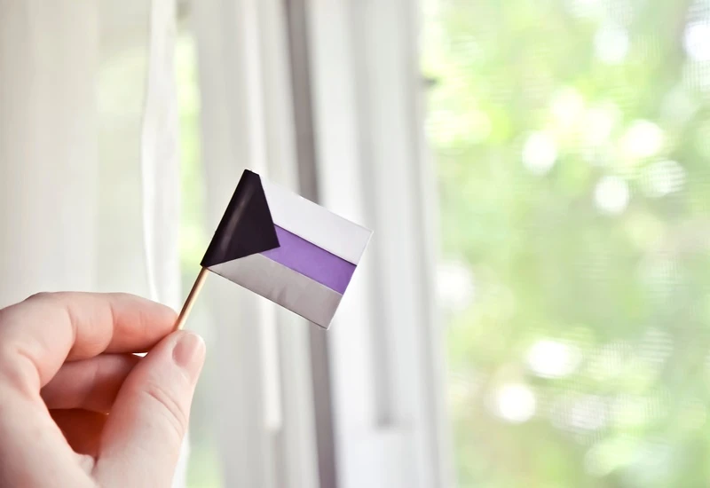 Xu Hướng Tình Dục Dựa Trên Quan Hệ Tình Cảm