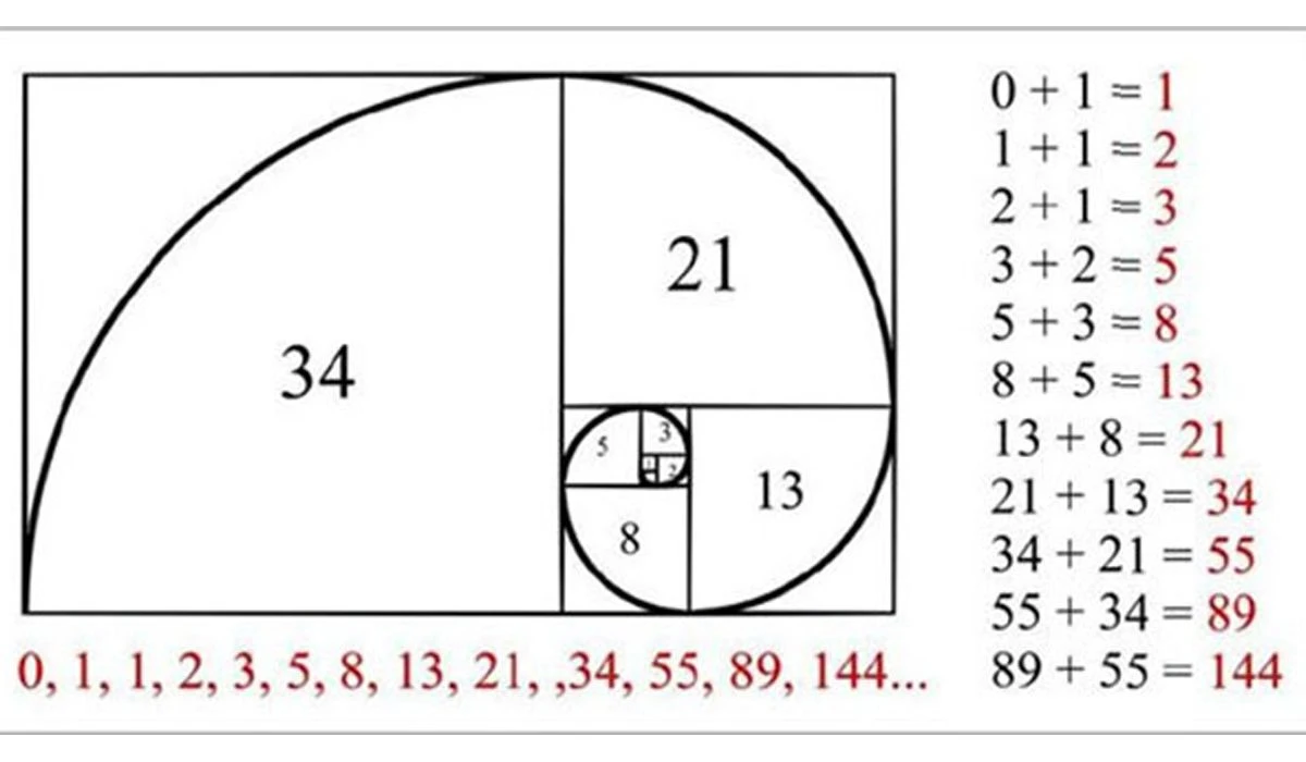 Fibonacci là gì và ứng dụng trong toán học và nghệ thuật
