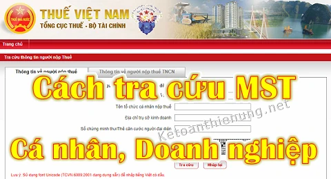Hướng Dẫn Tra Cứu MST Cty Để Hiểu Rõ Về Doanh Nghiệp