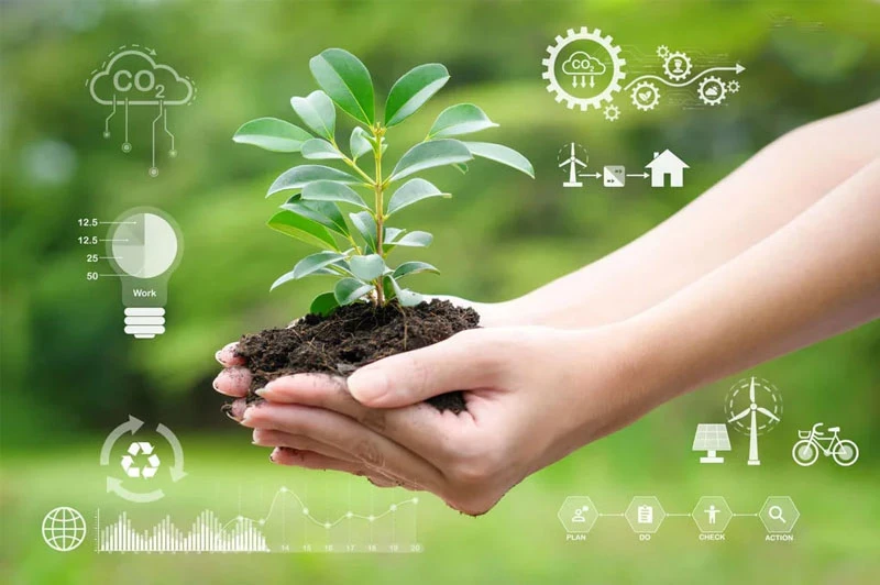 Lối sống xanh là gì và tầm quan trọng của nó