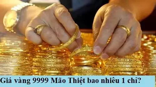 Vàng Mão Thiệt Thái Bình giá bao nhiêu 1 chỉ hôm nay