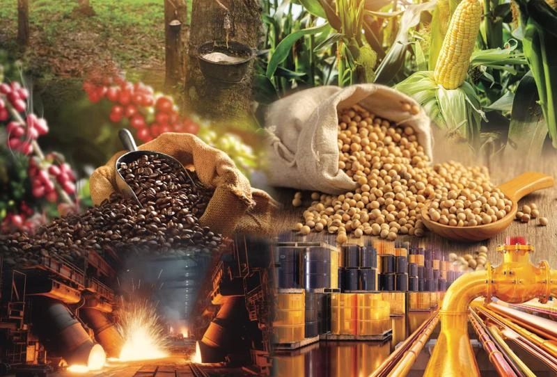 Thị Trường Hàng Hoá và Tác Động Đến Kinh Tế Toàn Cầu