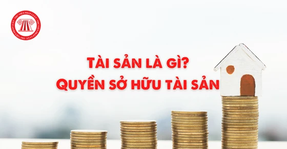 Tài sản là gì và vai trò của nó trong kinh tế hiện đại