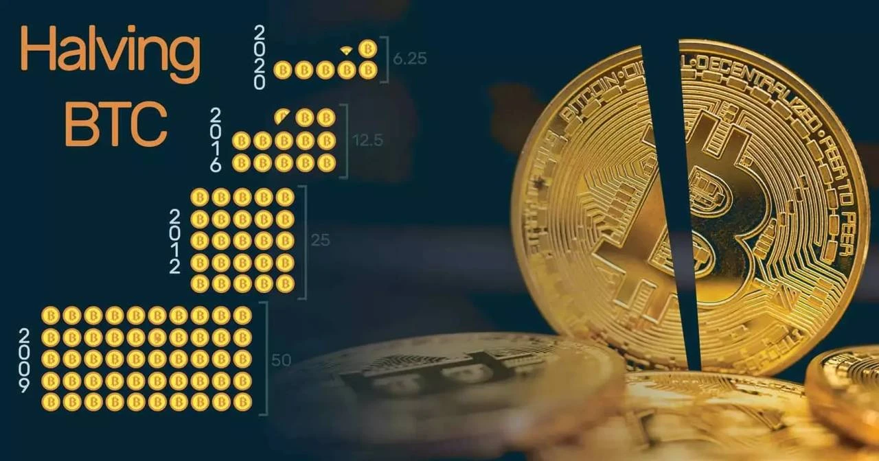 Bitcoin halving là gì và ảnh hưởng đến thị trường tiền mã hóa
