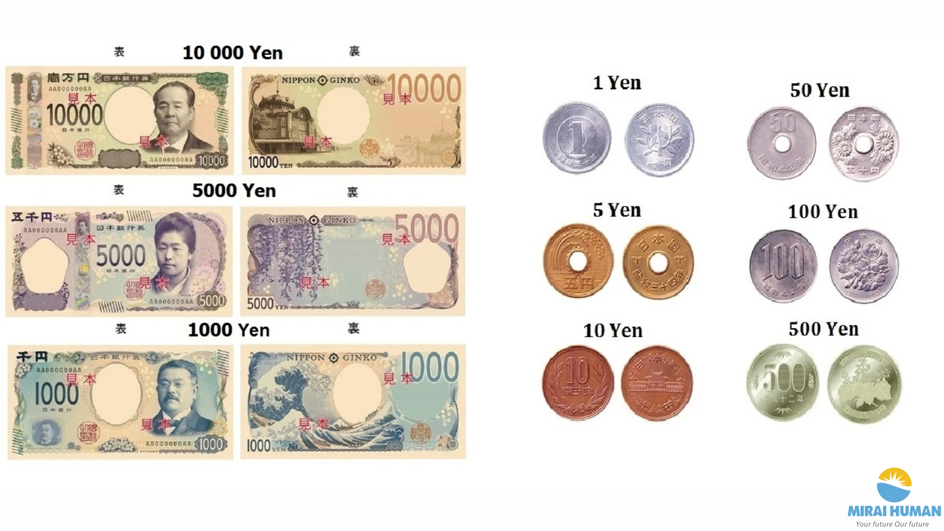 Tìm Hiểu Đơn Vị Tiền Nhật và Đặc Điểm Nổi Bật