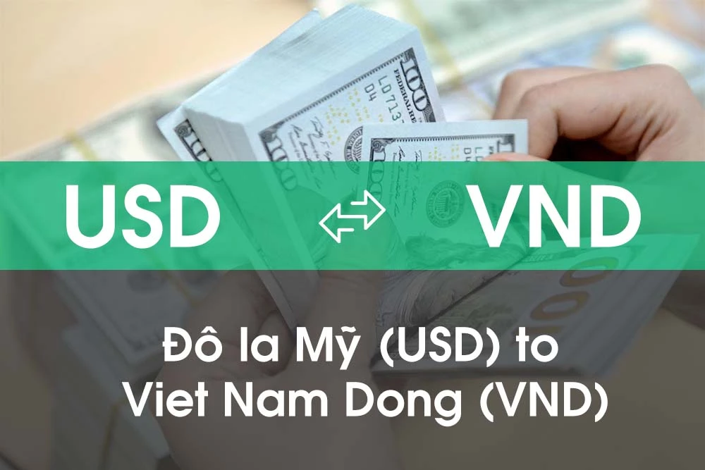 Hướng Dẫn Quy Đổi Tiền USD Sang Việt Đơn Giản