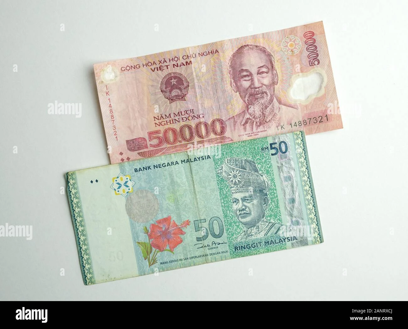 Khám Phá Mối Quan Hệ Giữa Dong To Myr