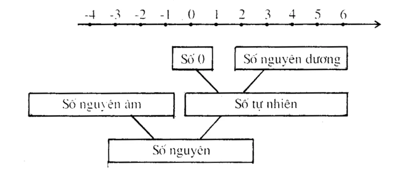 Giá trị nguyên là gì và tầm quan trọng trong toán học