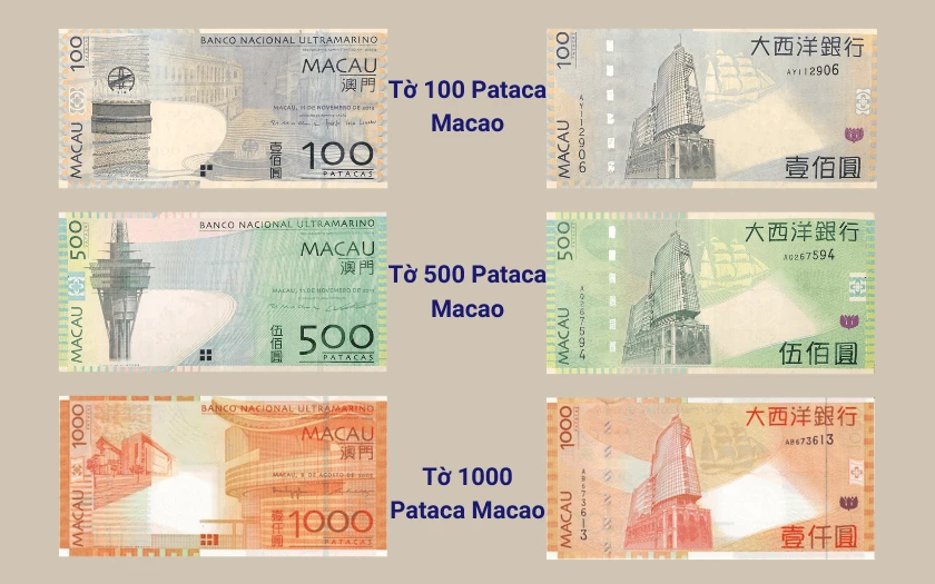 Tỷ giá tiền Macao 100 đổi ra tiền Việt Nam hiện nay