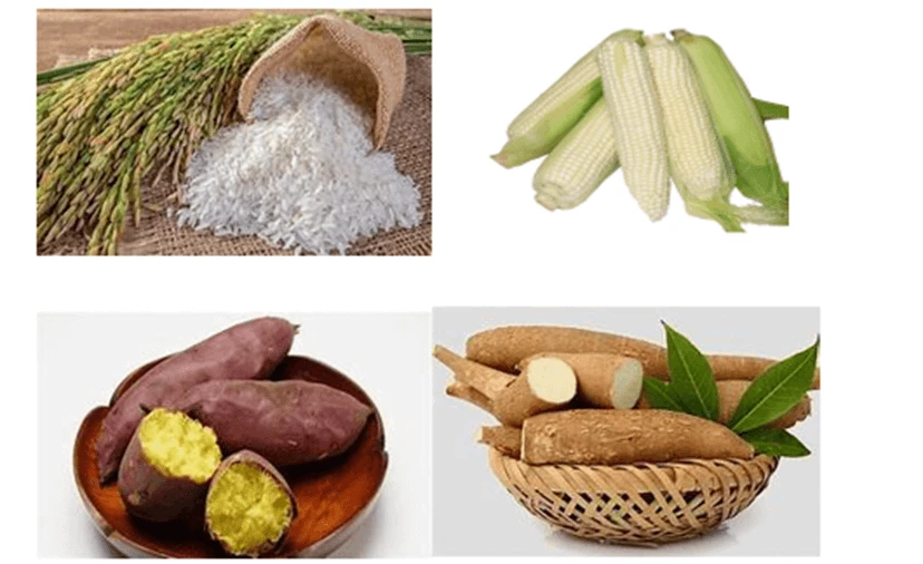 Lương thực là gì và vai trò của nó trong cuộc sống