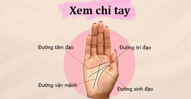Khám Phá Bí Ẩn Qua Đường Chỉ Tay