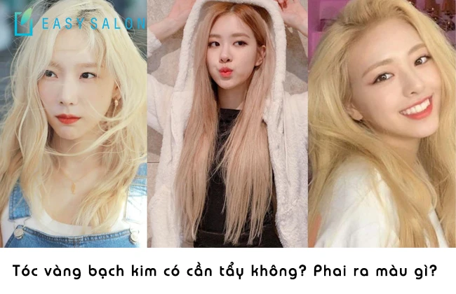 Khám Phá Đặc Điểm Nổi Bật Của Bạch Kim