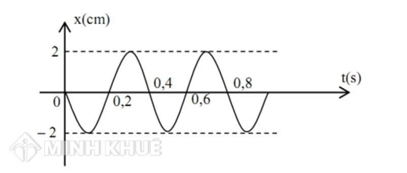 Biên độ là gì và vai trò trong hiện tượng vật lý