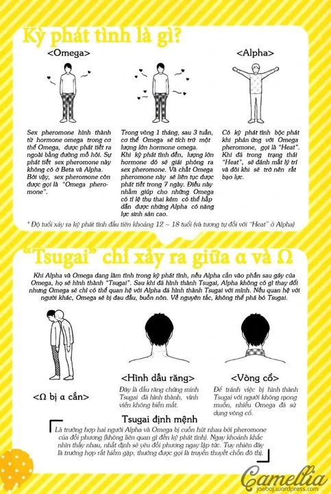 Beta là gì trong đam mỹ và vai trò của nó