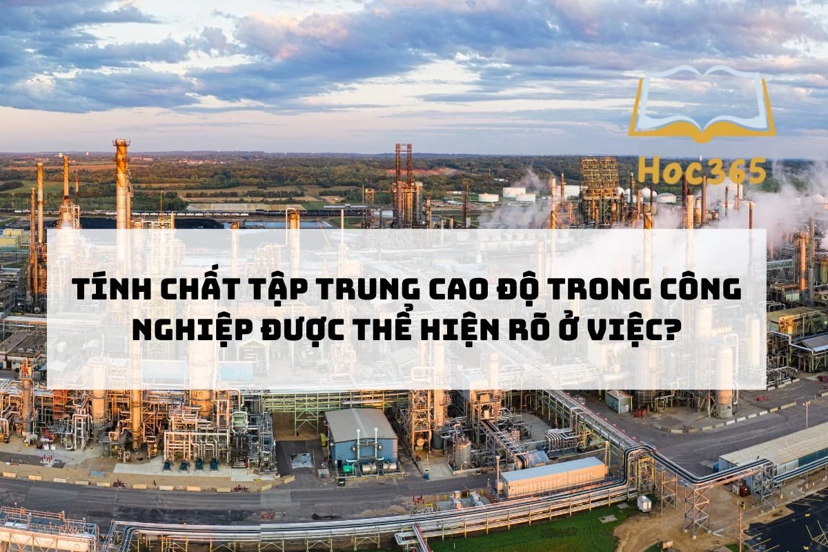 Tính Chất Tập Trung Cao Độ Trong Ngành Công Nghiệp Hiện Đại