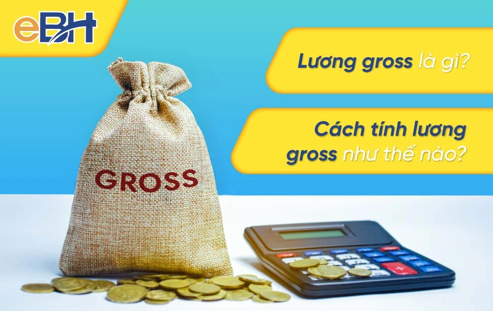 Gross là gì và ý nghĩa trong thu nhập hàng tháng