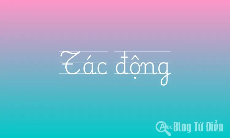 Tác động của môi trường đến quyết định hàng ngày