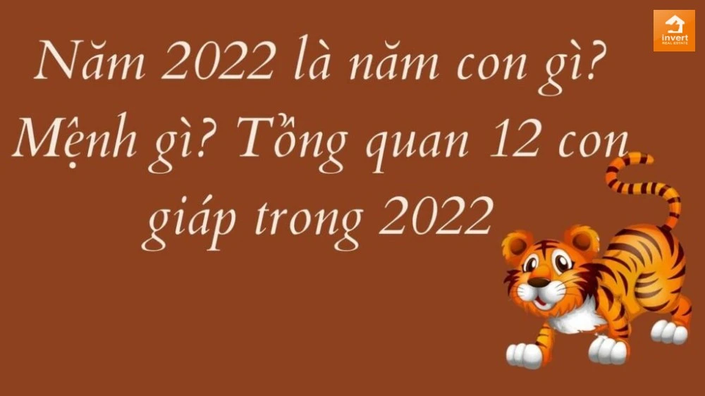 Năm 2024: Khám Phá Cơ Hội Mới Trong Năm Mới